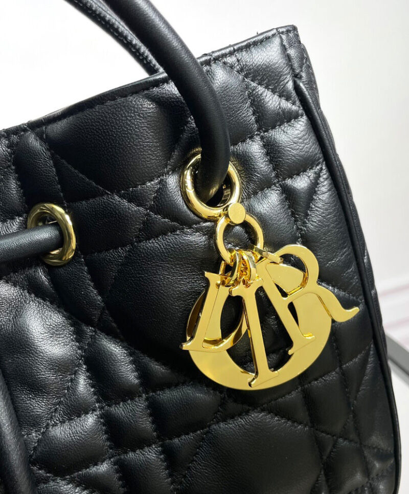 Christian Dior Medium Dior Nolita Bag Black